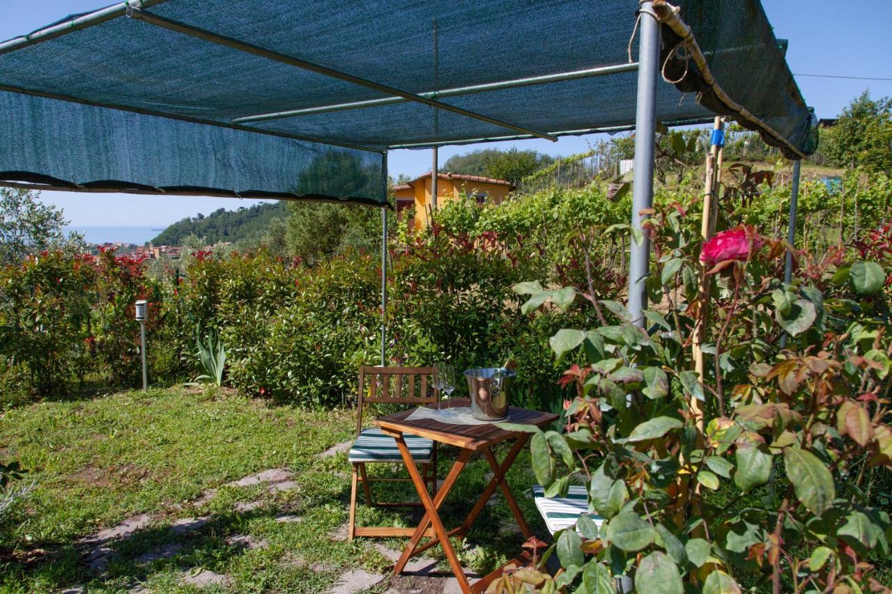Pietrantica - Affittacamere Con Giardino Nuova Apertura A Trebiano -Citr Exterior photo